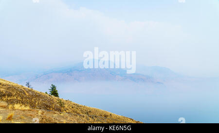 Fumo sospeso sul lago Kamloops nella Columbia Britannica centrale. Il fumo proviene dai numerosi incendi boschivi dell'estate del 2017 Foto Stock