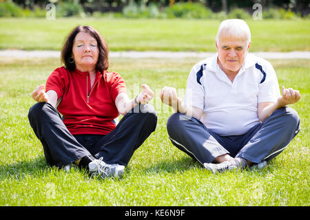 Anziana coppia senior fare yoga in giardino Foto Stock