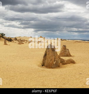 Giallo dune di sabbia e colonne di pietra calcarea Deserto Pinnacles nel nambung national park, Australia occidentale. Foto Stock