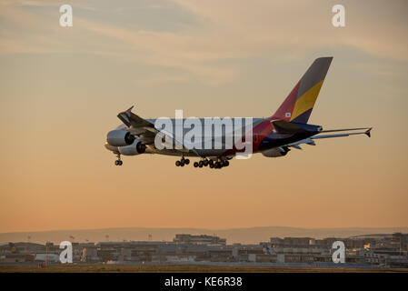 Reisen, Deutschland, Hessen, Francoforte sul meno, Flughafen, ottobre 18. Airbus A380-841 AIRLINE der Asiana Airlines mit der Kennung HL7635. (Foto di U Foto Stock