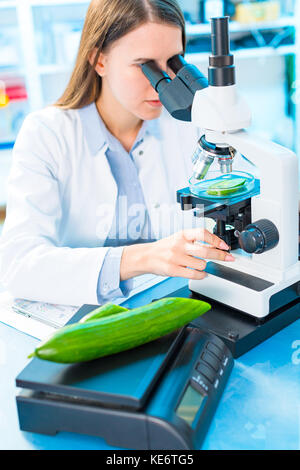 Controllare la frutta e la verdura per elementi dannosi. laboratorio per il controllo della qualità dei prodotti alimentari Foto Stock