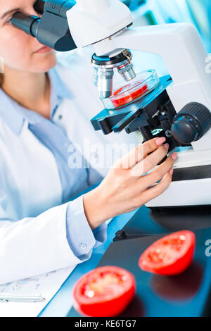 Controllare la frutta e la verdura per elementi dannosi. laboratorio per il controllo della qualità dei prodotti alimentari Foto Stock