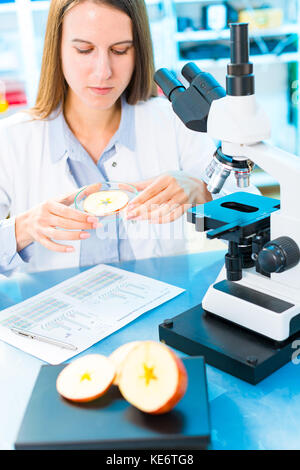 Controllare la frutta e la verdura per elementi dannosi. laboratorio per il controllo della qualità dei prodotti alimentari Foto Stock