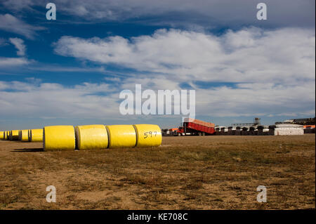 Round di balle di cotone o moduli dopo essere stata trasportata da campi memorizzati nel cantiere di gin fino al cotone sgranato Foto Stock