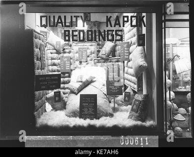 12429 Kapok lettiere Foto Stock