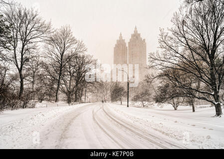 Condizioni di Blizzard nel parco centrale; la città di New York, New York, Stati Uniti d'America Foto Stock