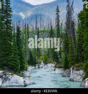 Un color giada fiume che scorre attraverso un paesaggio montuoso e una foresta di conifere; Radium Hot Springs, British Columbia, Canada Foto Stock