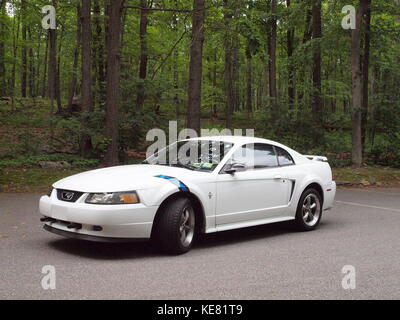 White Ford Mustang a Morris County Park nel New Jersey che mostra blu e nero legge strisce sul parafango Foto Stock