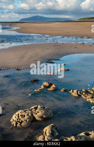 Combe nero visto dalla riva del mare al gap Sandy Lane, Walney Island,Barrow-in-Furness Foto Stock