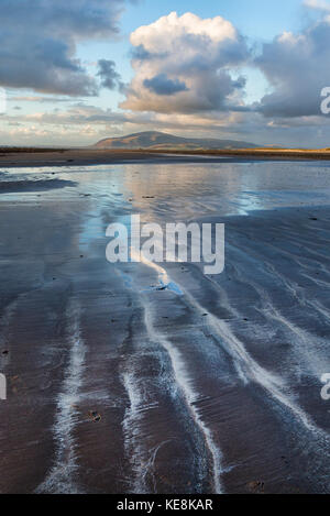 Combe nero visto dalla riva del mare al gap Sandy Lane, Walney Island,Barrow-in-Furness Foto Stock