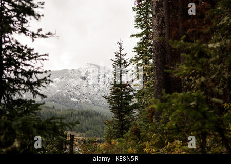 Neve Montagne baciato hyalite montana Foto Stock