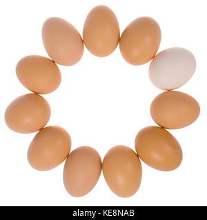 Undici le uova in cerchio. un uovo bianco. isolato su uno sfondo bianco. tracciato di ritaglio all'interno. Foto Stock
