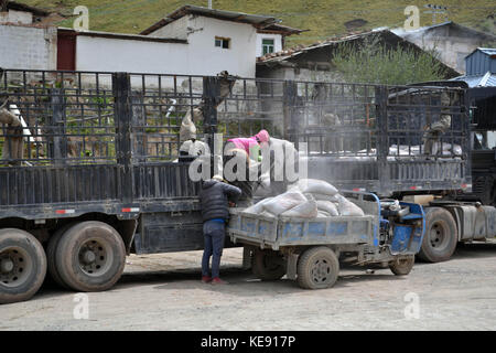 I lavoratori di lavorare intorno kirti gompa monastero langmusi, amdo Tibet, Cina. pic è stata adottata nel settembre 2017. Foto Stock