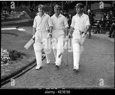 35889 Prova NSWEngland 24 Novembre 1936 Foto Stock