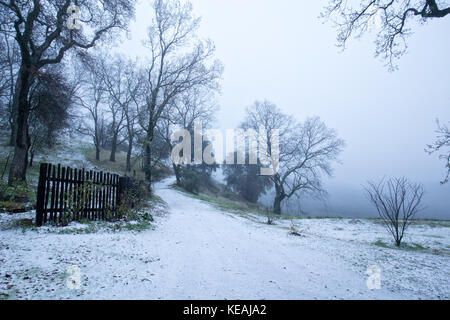 Vigilia di Natale in montagna sopra Carmel Valley, California. Foto Stock