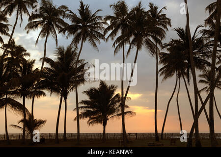 Wadduwa provincia occidentale dello Sri Lanka tramonto attraverso le palme in acqua Blu Hotel Foto Stock