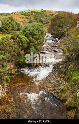 Red-a-ven Brook scorre a nord, giù da Dartmoor verso Meldon Quarry e infine per congiungere il West Okement River. Devon, Inghilterra, Regno Unito. Foto Stock