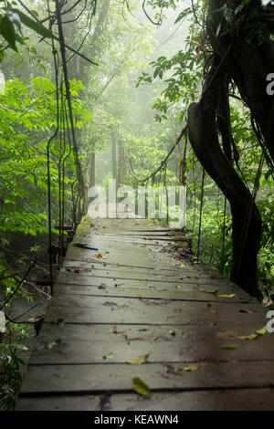 Il vecchio ponte di sospensione nella foresta pluviale Foto Stock