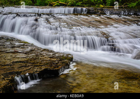 Acqua cascate dolcemente verso il basso Sweet Creek in Lane County, Oregon durante la primavera. Foto Stock