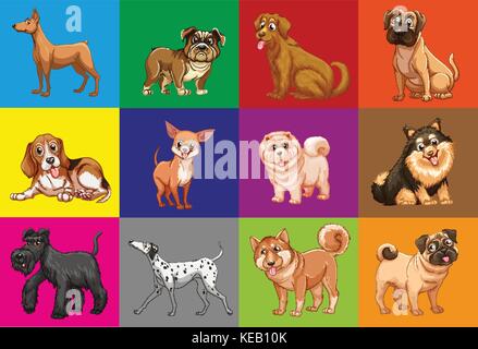 Diversi tipi di cani in quadrati colorati Illustrazione Vettoriale
