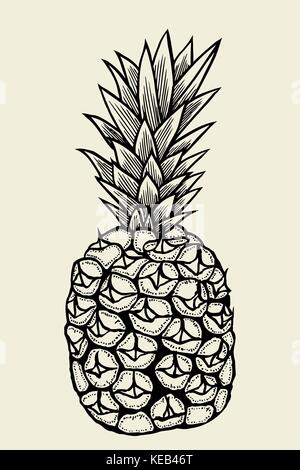 Vettore disegnati a mano ananas. estate tropicale di frutta stile inciso illustrazione. Perfetto per gli inviti, biglietti di auguri, poster. Illustrazione Vettoriale