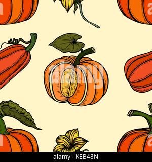 Vettore di disegno botanico con zucche, fiori e foglie Illustrazione Vettoriale
