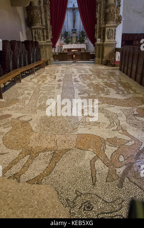 Vista del pavimento in mosaico della Cattedrale di Otranto Foto Stock