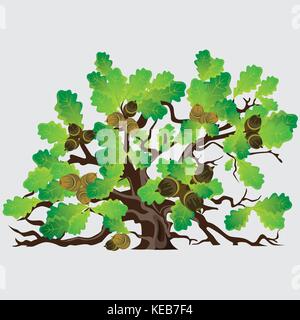 Verde grande albero di quercia con ghiande illustrazione vettoriale Illustrazione Vettoriale