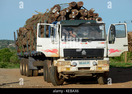 Mozambico, Beira Corridor, commercio di legname di imprese cinesi per le esportazioni verso la Cina, trasporto di alberi registrati dalla provincia di Tete al porto di Beira con semiscafi Sinotruk e driver cinese / MOSAMBIK, Beira Korridor, Holzhandel von chinesischen Firmen fuer Export nach Cina, chinesischer Sinotruk LKW, trasporto von Baumstaemmen aus der Provinz Tete zum Hafen Beira, Kahlschlag in Mosambik, taeglich kommen hunderte Lastwagen mit Holz in Beira una Foto Stock