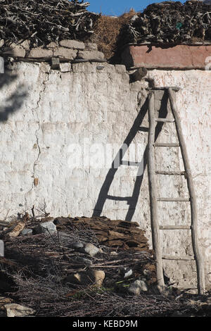 Curva scala di legno appoggiata contro la parete della casa, un ombra dalla scala, un sottobosco di montagna, una fotografia verticale. Foto Stock