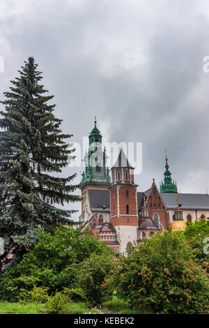 Cracovia in Polonia - Giugno 2012: vista sul castello di Wawel Foto Stock