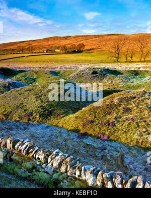 Un inverno vista del paesaggio collinare di northumberland in Inghilterra settentrionale, Regno Unito Foto Stock