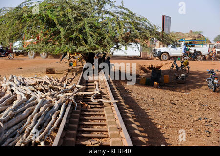 Il BURKINA FASO Kaya, albero sulla ferrovia abbandonata via / BURKINA FASO Kaya Mit einem Baum zugewachsene Eisenbahnschiene Foto Stock