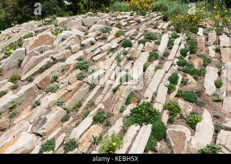 Rock Garden, Denver Botanic Gardens, Denver, Colorado, Stati Uniti Foto Stock