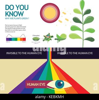 Come si fa a sapere il motivo per cui sono pianta verde design illustrazione Illustrazione Vettoriale