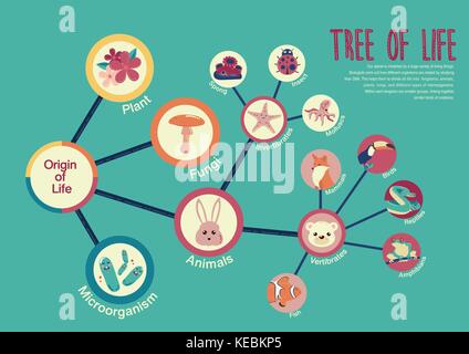 Albero della Vita Una infografica illustrazione vettoriale Illustrazione Vettoriale