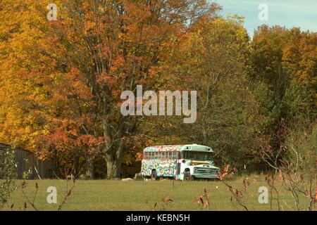 Un colorato dipinto di vecchia scuola bus in un campo Foto Stock