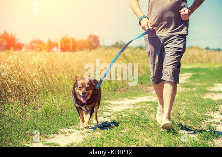 Un uomo con un cane al guinzaglio cammina lungo una strada di campagna nei pressi di un campo di grano in estate Foto Stock