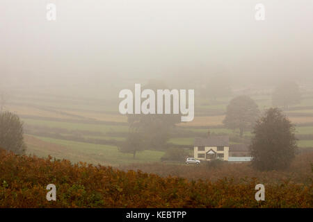 Flintshire, Wales, Regno Unito. Xix oct, 2017. Regno Unito Meteo. Una nebbiosa o foggy start per molti oggi con le prospettive di tempesta Brian, un altro denominato storm per il fine settimana per il Galles del Nord. Un rurale agriturismo nella periferia di Rhes-y-Cae villaggio in Flinthsire avvolto dalla nebbia Credito: DGDImages/Alamy Live News Foto Stock