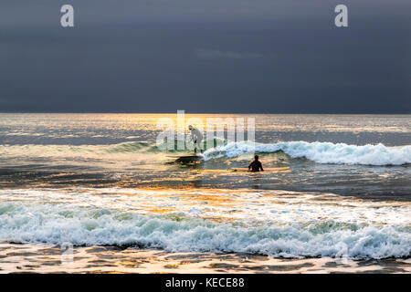 Surf vicino al molo di Bournemouth con il RISING SUN colata di un bagliore giallo sull'acqua Foto Stock