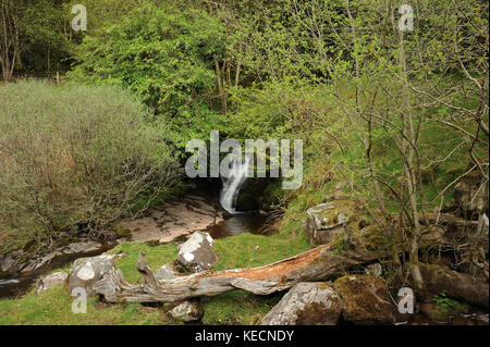 Ultima cascata su nant bwrefwr. Foto Stock