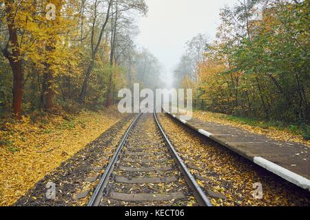 Autunno umore sul viaggio. rurale stazione ferroviaria nella nebbia. Foto Stock