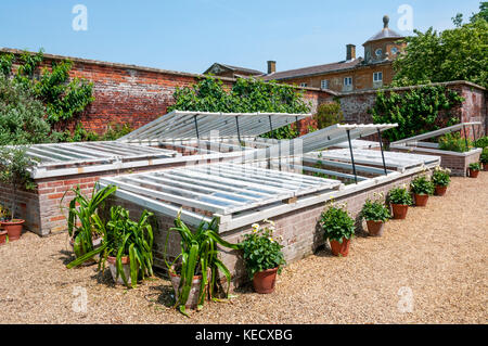 Telai a freddo per la coltivazione e la protezione di giovani piante. Presso i giardini di Houghton Hall nel Norfolk. Foto Stock