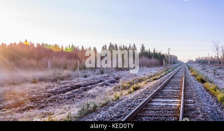 Frosty alba al traintracks portano alla distanza incognita in Svezia - Scandinavia Foto Stock