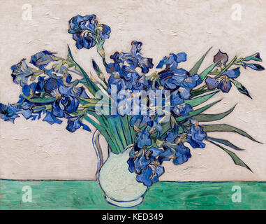 Irises, Vincent Van Gogh, 1890, Metropolitan Museum Of Art, Manhattan, New York City, Usa, Nord America Foto Stock