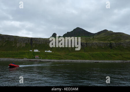 Vista del paesaggio della barca Zodiac trasportano i turisti a case vacanza a hornstrandir riserva naturale westfjords, Islanda Foto Stock