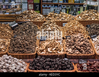 Fornitore di funghi al Mercat de Sant Josep de la Boqueria, Barcelona, Spagna. Foto Stock