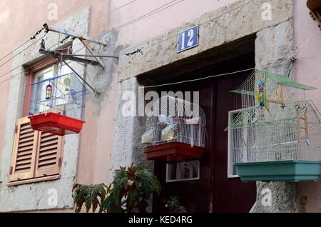 Gabbie di uccelli appesi ad un muro esterno di un Ods house Sintra Portogallo Foto Stock