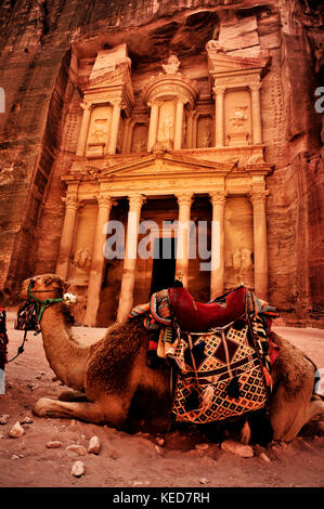 Bedouin camel riposa vicino al tesoro Foto Stock