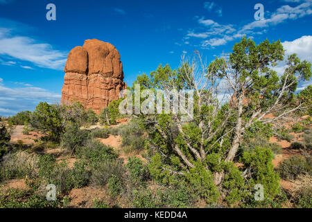 Archi Arches National Park nello Utah, Stati Uniti d'America Foto Stock